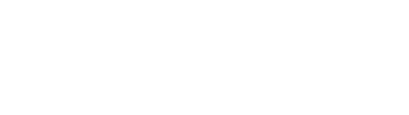 HONSPECT horizontal logo, reversed for dark backgrounds